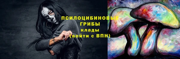 PSILOCYBIN Нея