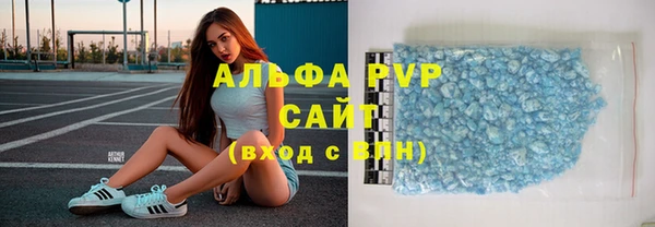 шишки Новозыбков