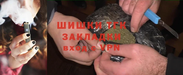 шишки Новозыбков