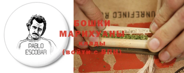 PSILOCYBIN Нея