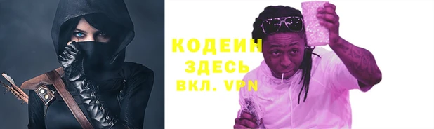 шишки Новозыбков
