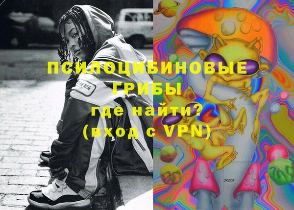 шишки Новозыбков