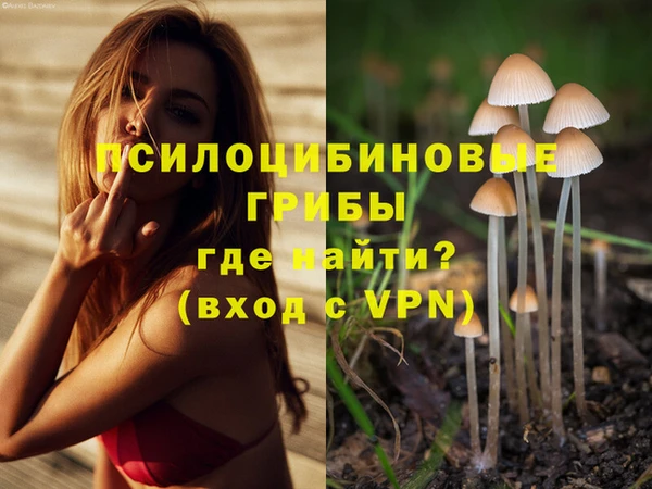 МДПВ Нефтекумск