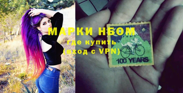 шишки Новозыбков