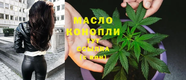 эйфоретик Новодвинск