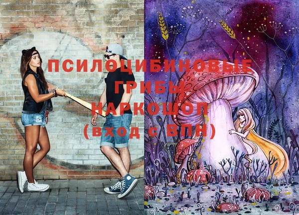 шишки Новозыбков