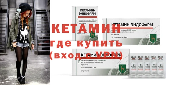 шишки Новозыбков