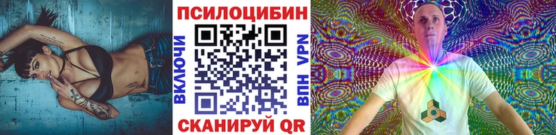 где продают наркотики Нерчинск Галлюциногенные грибы Psilocybe